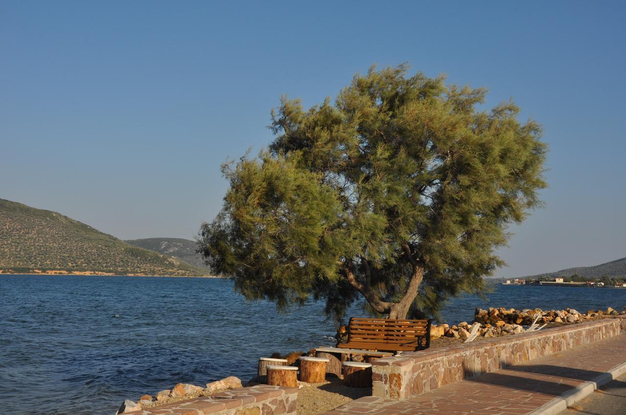 Ariadnes Holiday Accommodation I Apidias Lakos Esterno foto