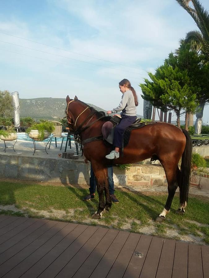 Ariadnes Holiday Accommodation I Apidias Lakos Esterno foto